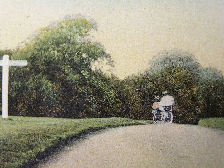 S. & W. Series Antique POSTCARD - Newlands Corner, Surrey