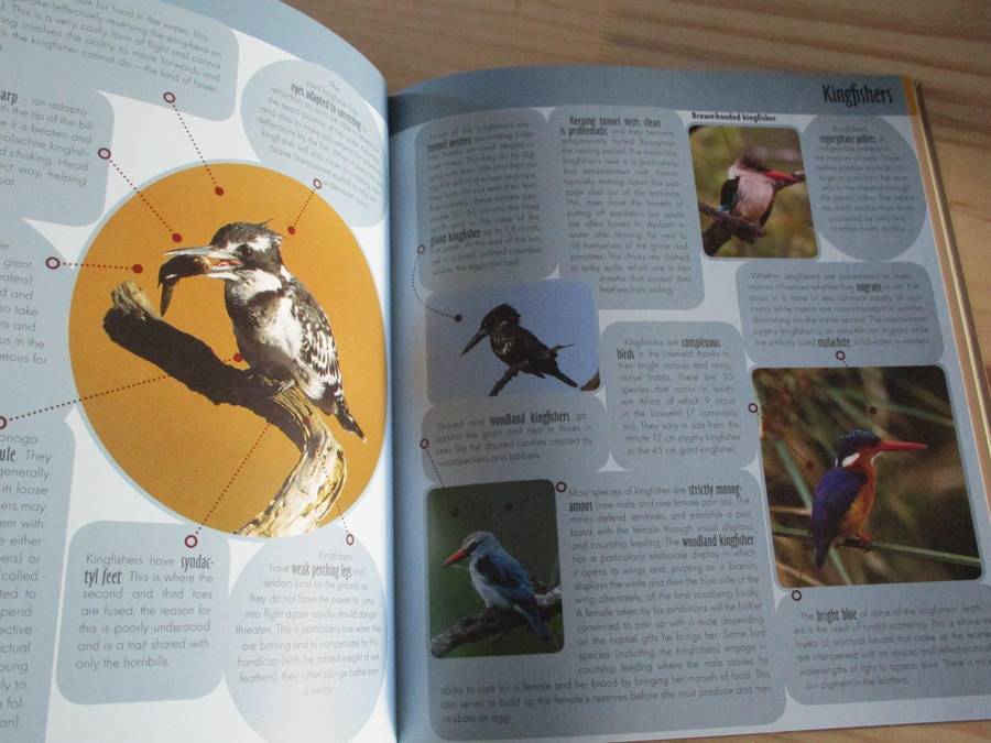 Game Ranger in Your Backpack - All-in-one interpretative guide to the Lowveld