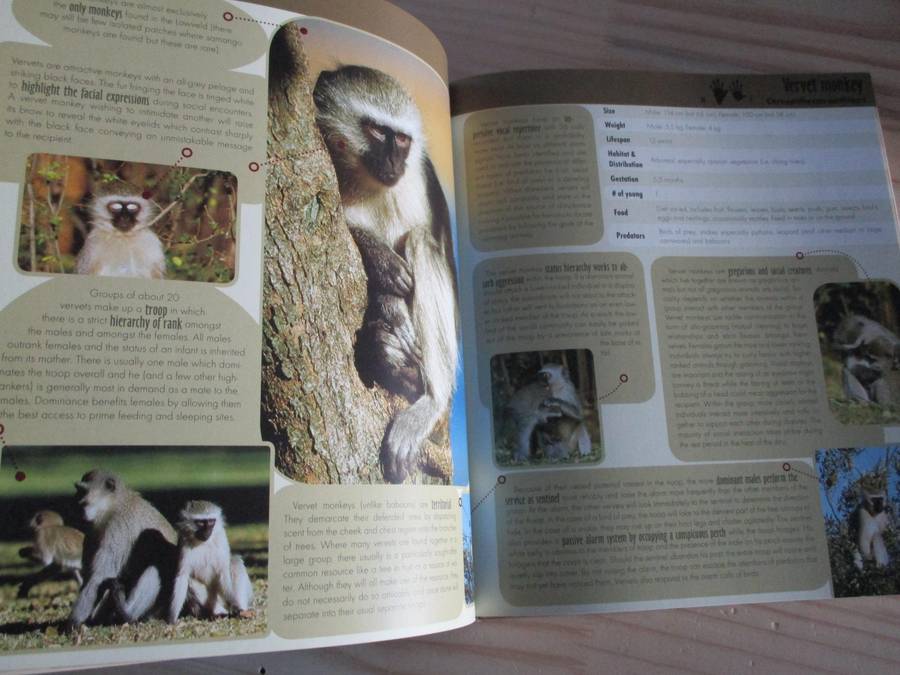 Game Ranger in Your Backpack - All-in-one interpretative guide to the Lowveld