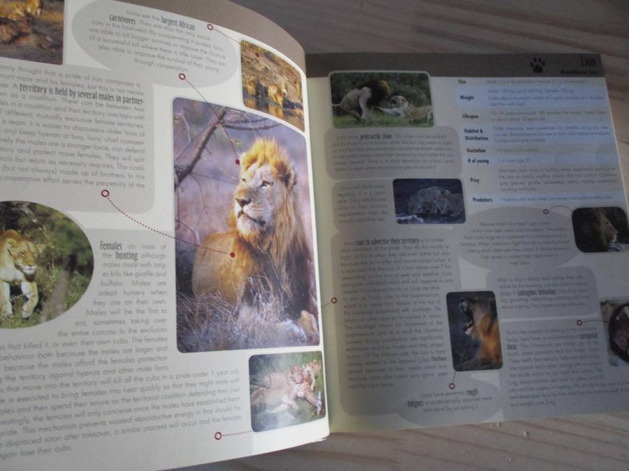 Game Ranger in Your Backpack - All-in-one interpretative guide to the Lowveld