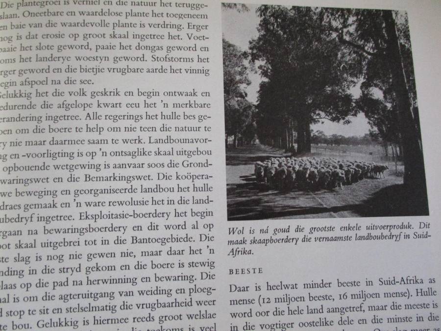 Kultuurgeskiedenis van die Afrikaner