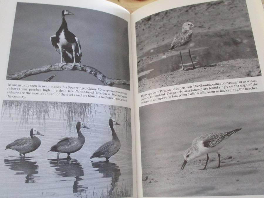 BIRDS OF THE GAMBIA. Signed by author