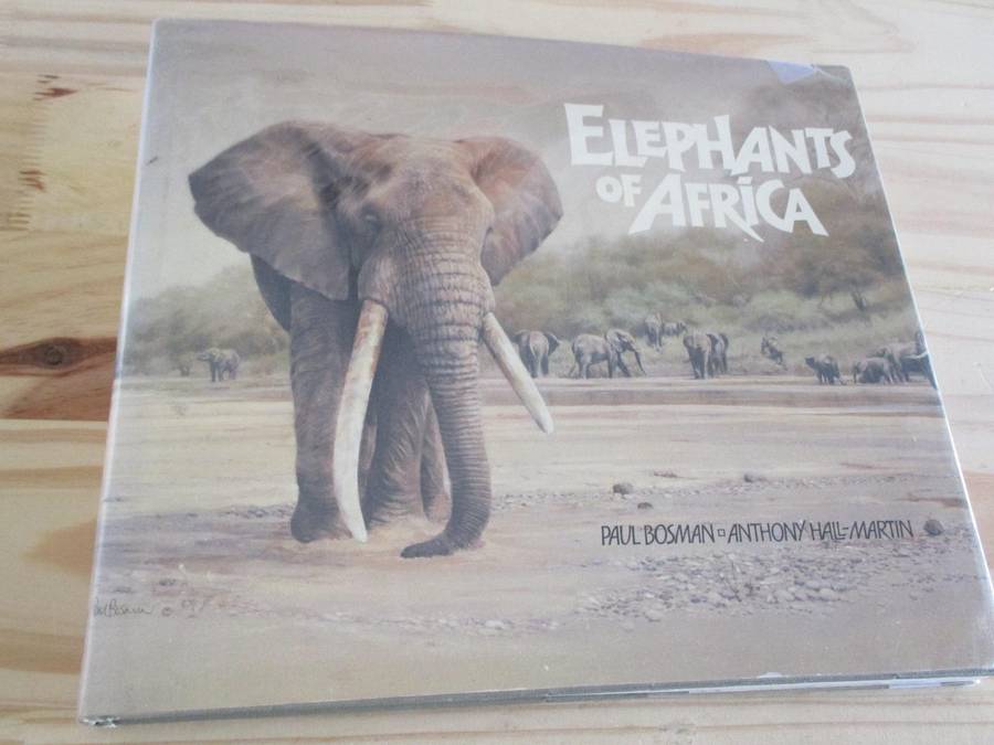 ELEPHANTS OF AFRICA