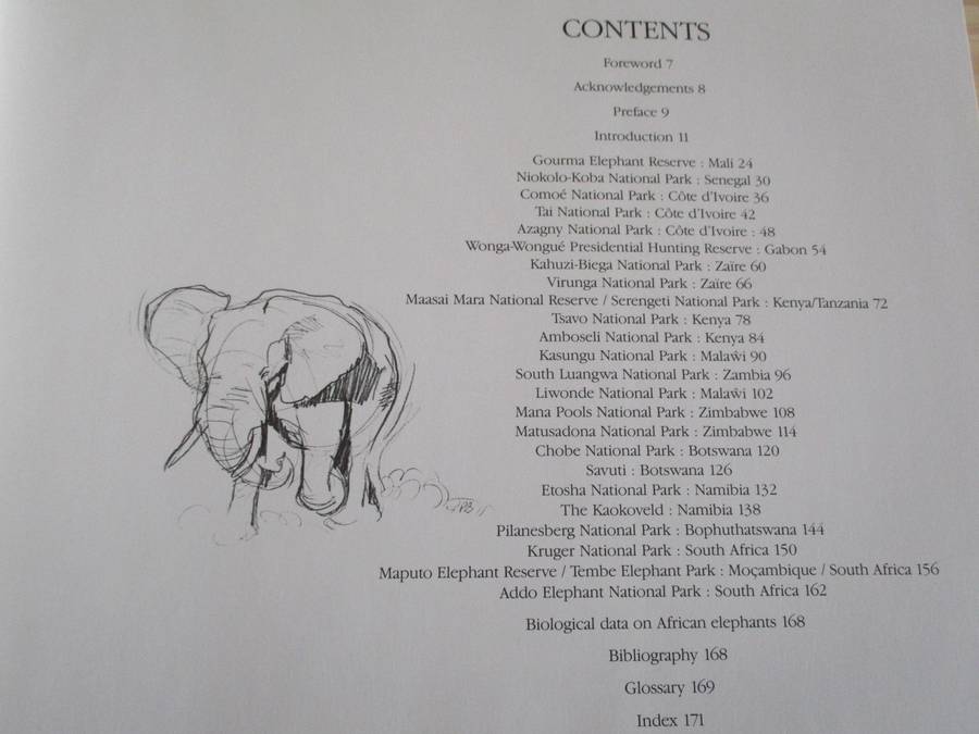 ELEPHANTS OF AFRICA