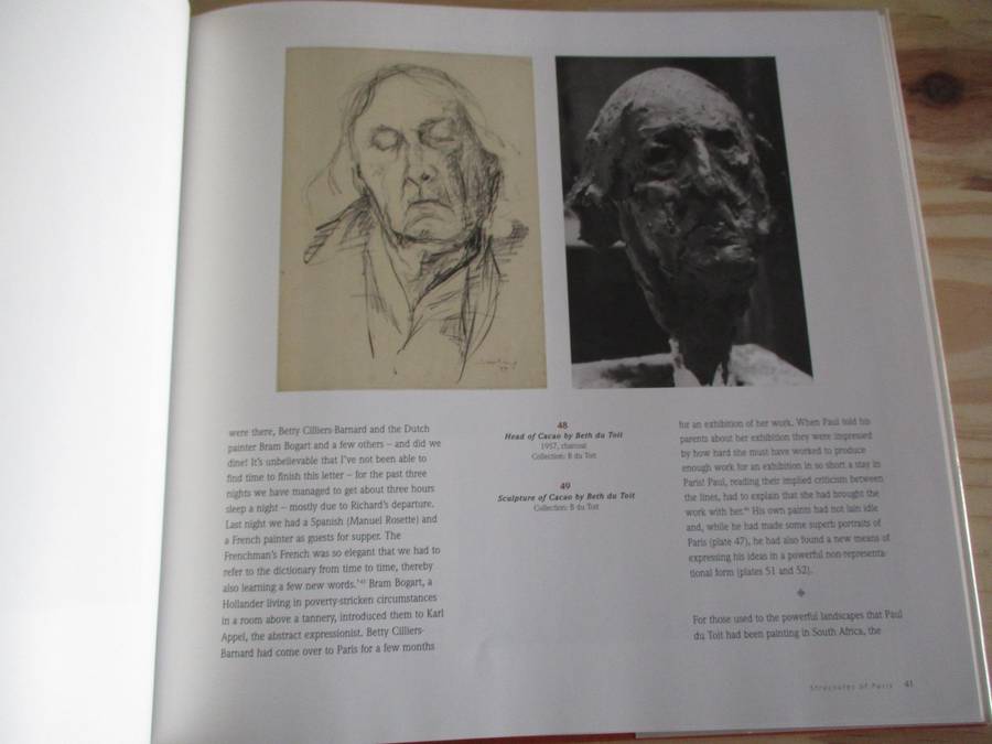 PAUL DU TOIT - A Painter's Journey
