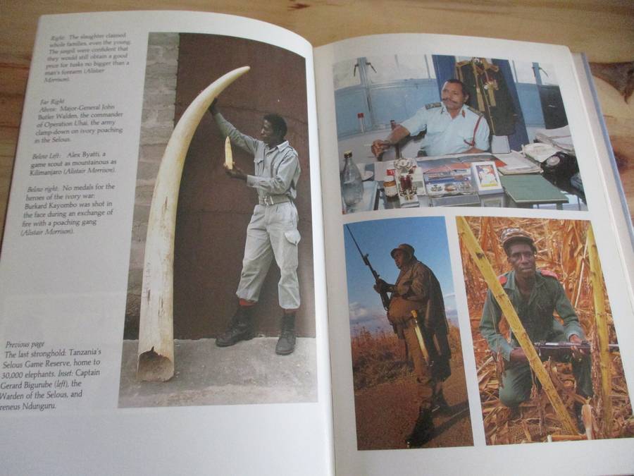 IVORY KNIGHTS - Man, Magic & Elephants. By Nicholas Gordon