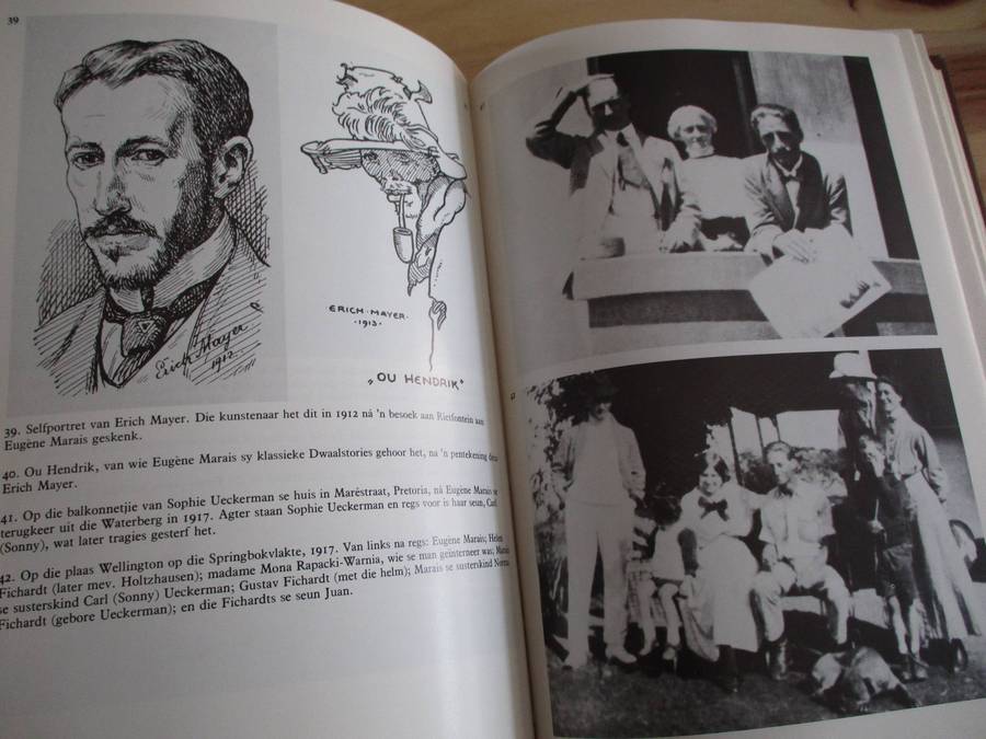 Die Groot Verlange  Die verhaal van Eugene Marais deur Leon Rousseau