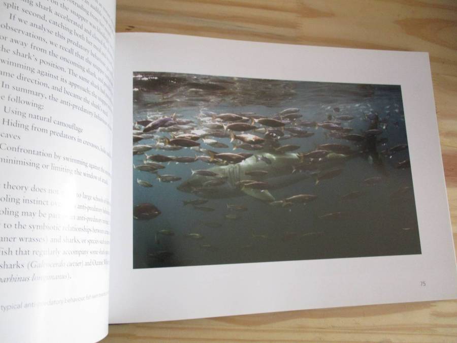 SIGNED. White Sharks Magnificent, Mysterious & Misunderstood  Dirk Schmidt