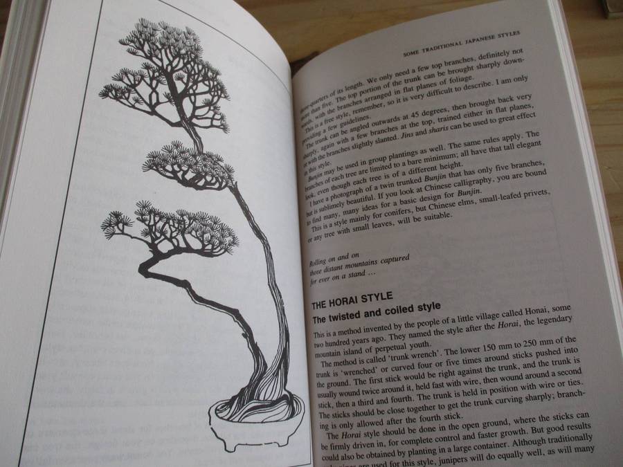 Growing Bonsai in South Africa  Doug Hall