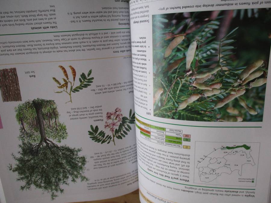 Sappi Tree Spotting Cape from Coast to Kalahari  Val Thomas Eugene Moll Rina Grant