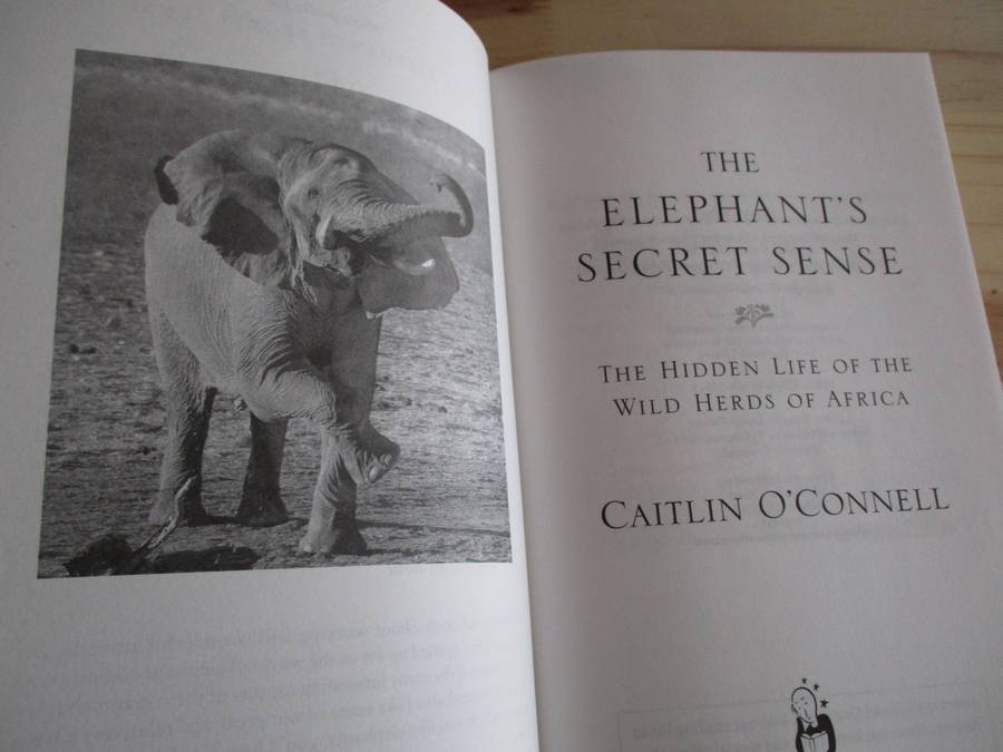 The Elephants Secret Sense The hidden life of the wild herds of Africa  Catlin O'Connell