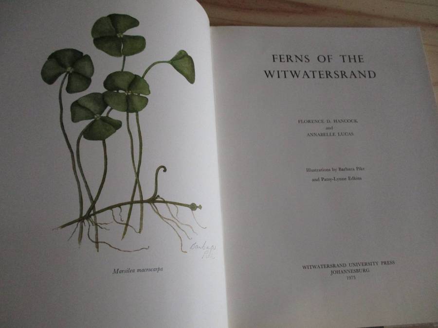 FERNS of the Witwatersrand  Florence D. Hancock  Annabelle Lucas