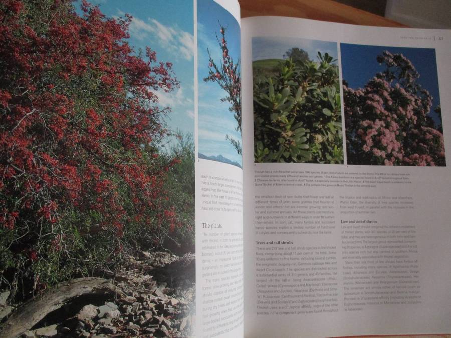 East of the Cape Conserving Eden  Richard Cowling & Shirley Pierce