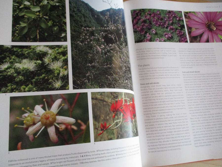 East of the Cape Conserving Eden  Richard Cowling & Shirley Pierce