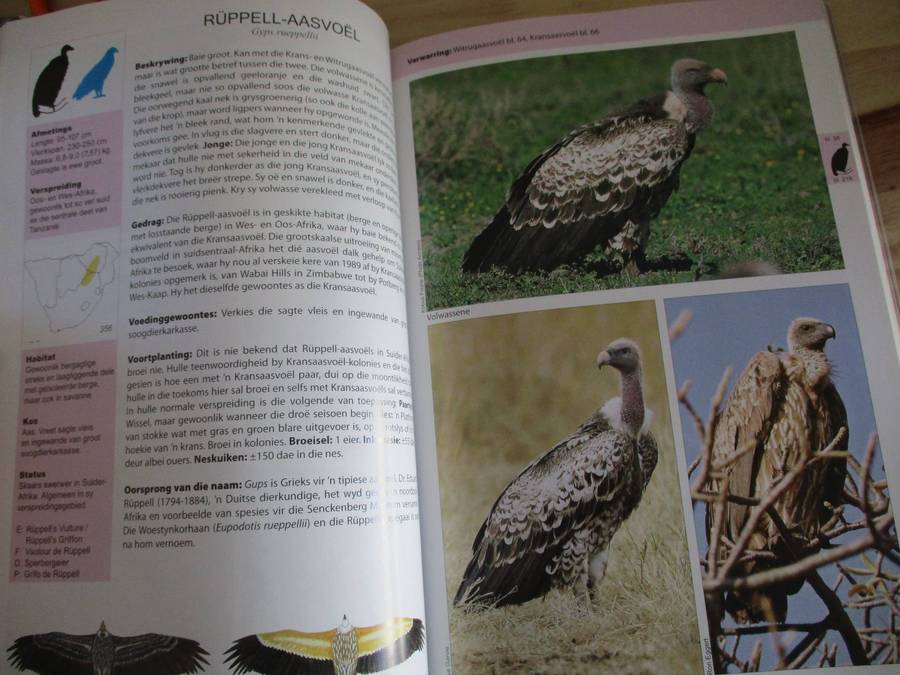Die Roofvoël-gids van Suider-Afrika  Ulrich Oberprieler  Burger Cillie