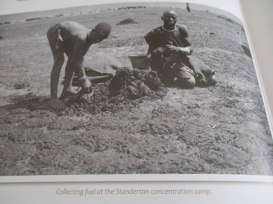An ILLUSTRATED HISTORY OF BLACK SOUTH AFRICANS in the Anglo-Boer War 1899-1902  Van Zyl, Constantine