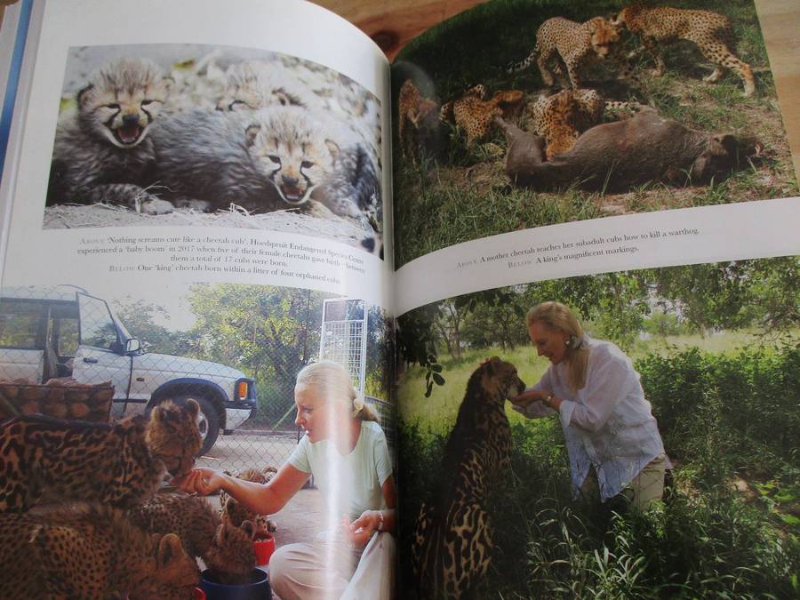 A Cheetah's Tale - Her Royal Highness Princess Michael of Kent