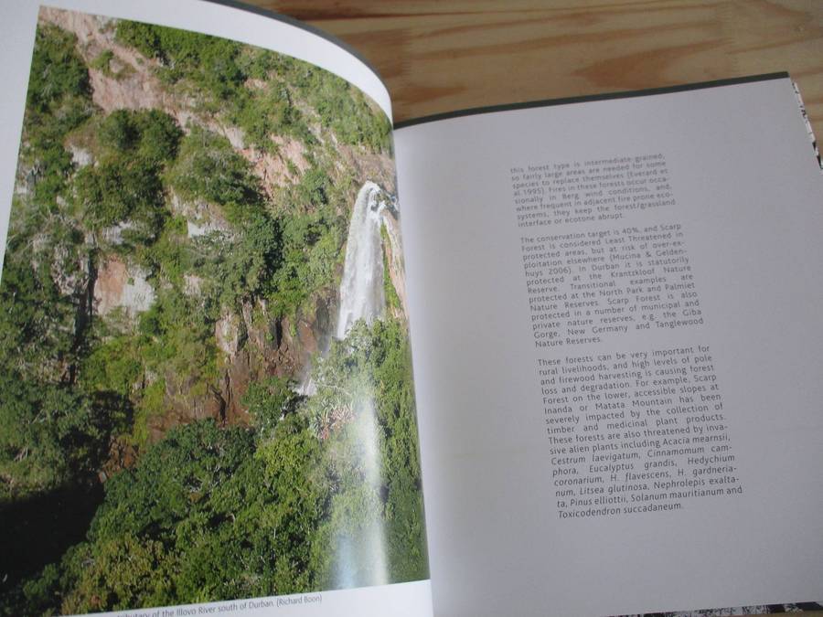 The Durban Forest