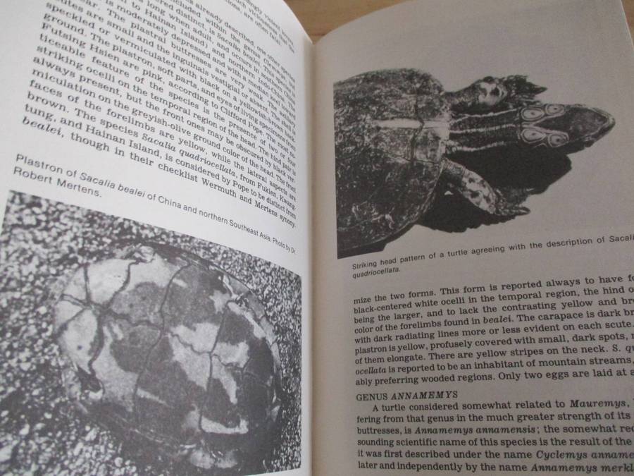 Encyclopedia of TURTLES. Pritchard