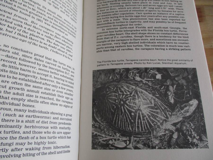 Encyclopedia of TURTLES. Pritchard