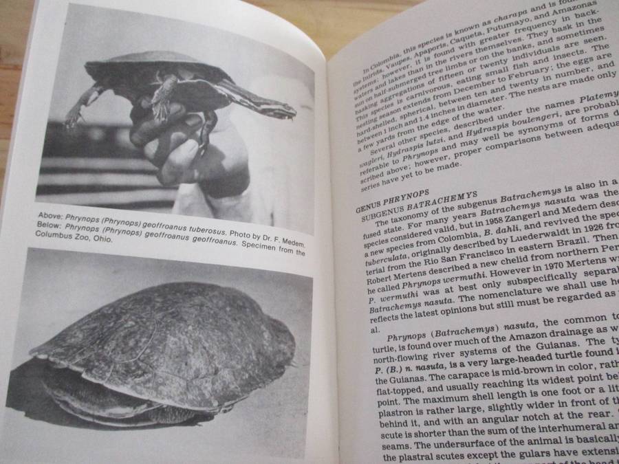Encyclopedia of TURTLES. Pritchard