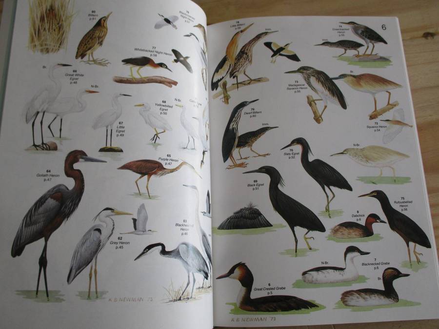 ROBERTS' BIRDS OF SOUTHERN AFRICA