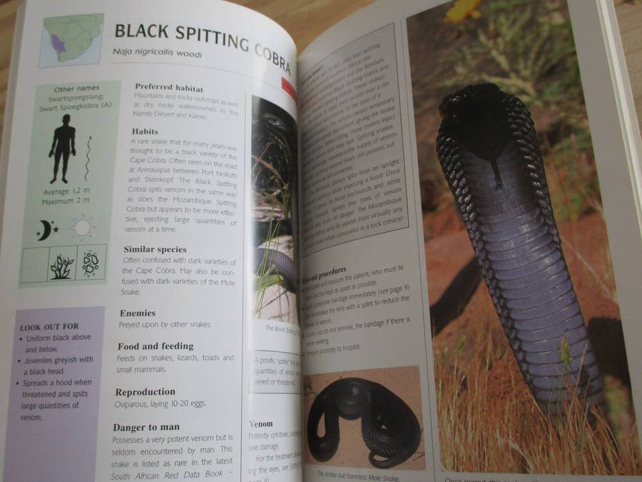 Snakes & Snake Bite in Southern Africa. Johan Marais