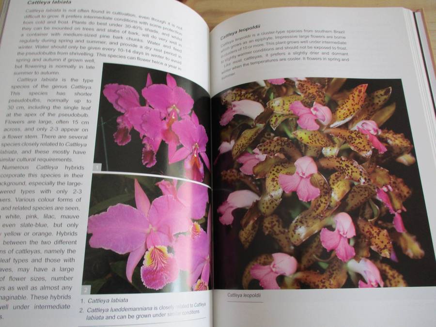 Orchids in South Africa. A Gardener's Guide - Hendrik Venter