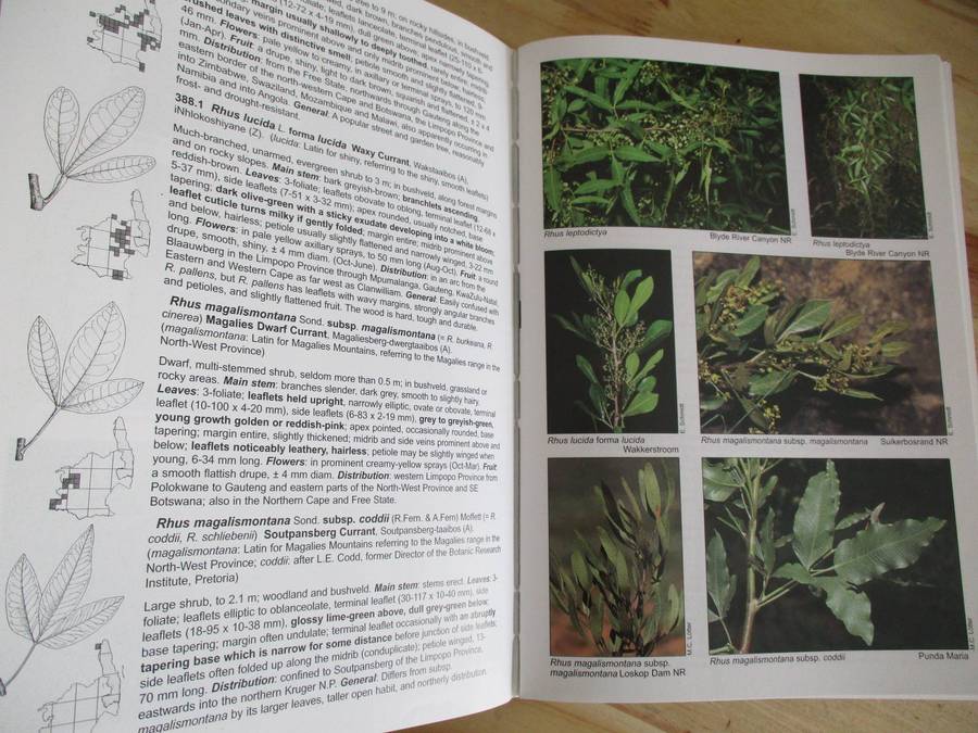 Trees & Shrubs of MPUMALANGA and KRUGER NATIONAL PARK