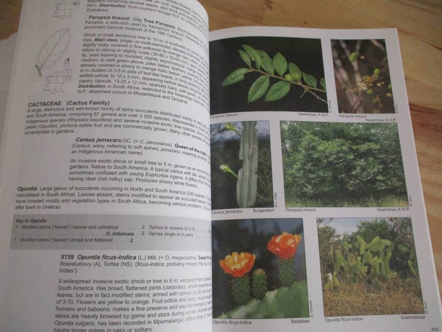 Trees & Shrubs of MPUMALANGA and KRUGER NATIONAL PARK