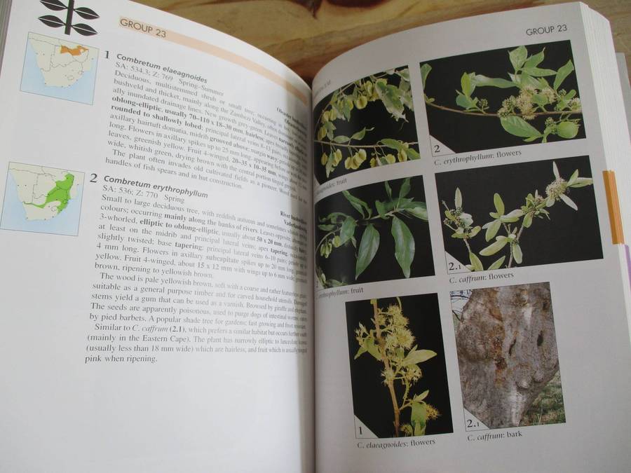 Field Guide to TREES of Southern Africa