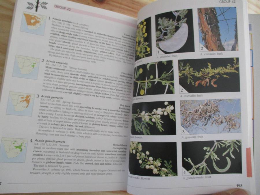 Field Guide to TREES of Southern Africa