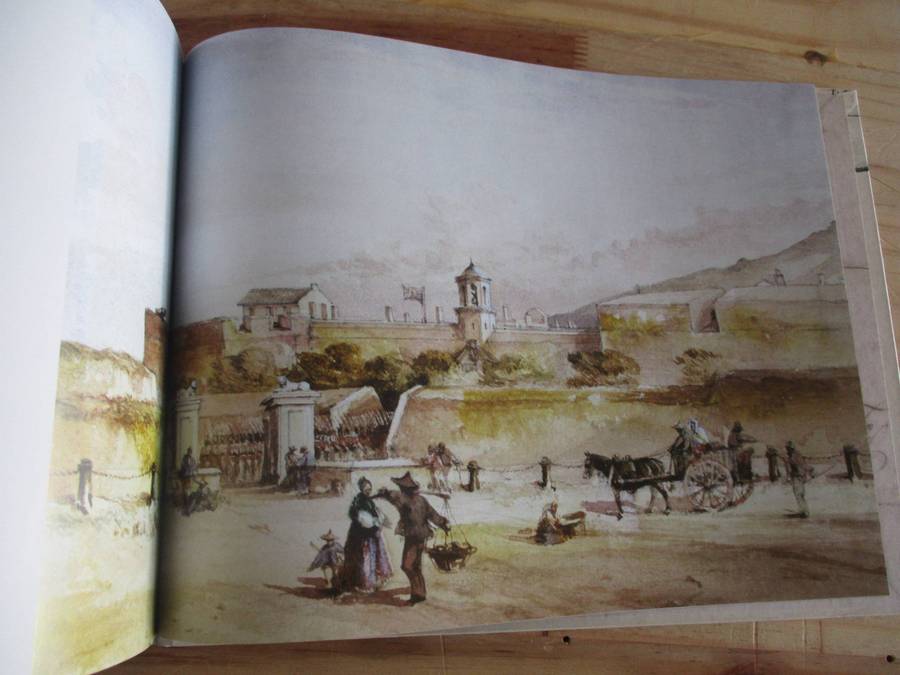 Rogues to Riches - The Fortunes of Olof Bergh and the Van der Stels. By Marius Diemondt