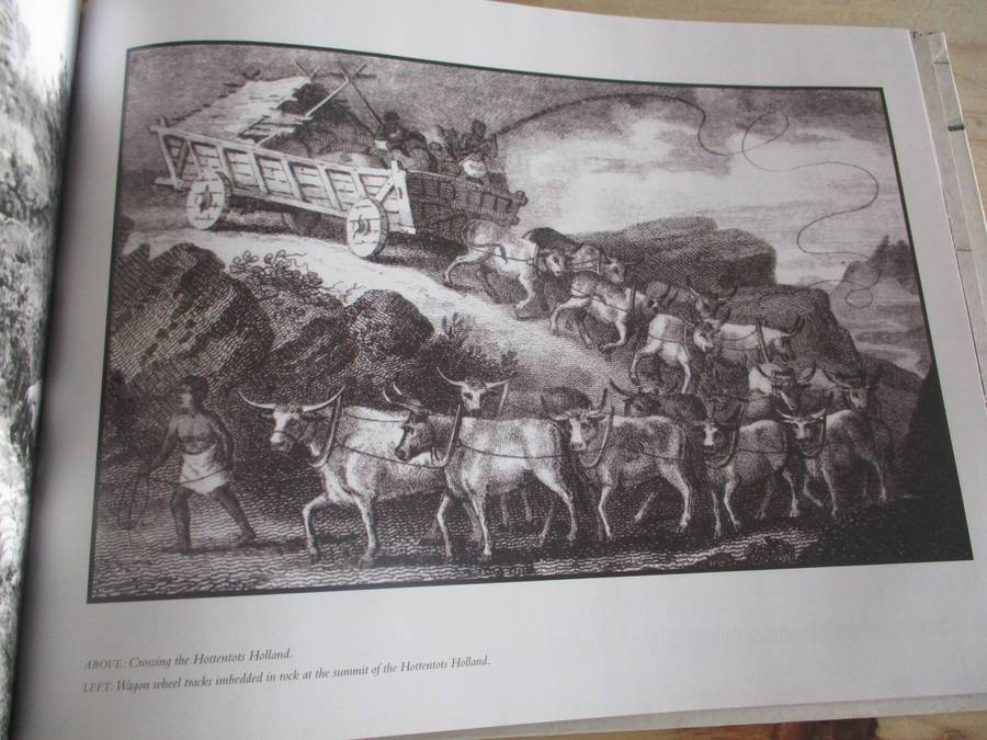 Rogues to Riches - The Fortunes of Olof Bergh and the Van der Stels. By Marius Diemondt