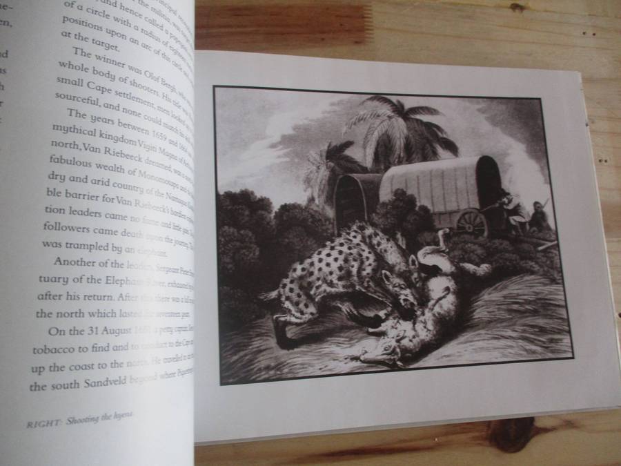 Rogues to Riches - The Fortunes of Olof Bergh and the Van der Stels. By Marius Diemondt