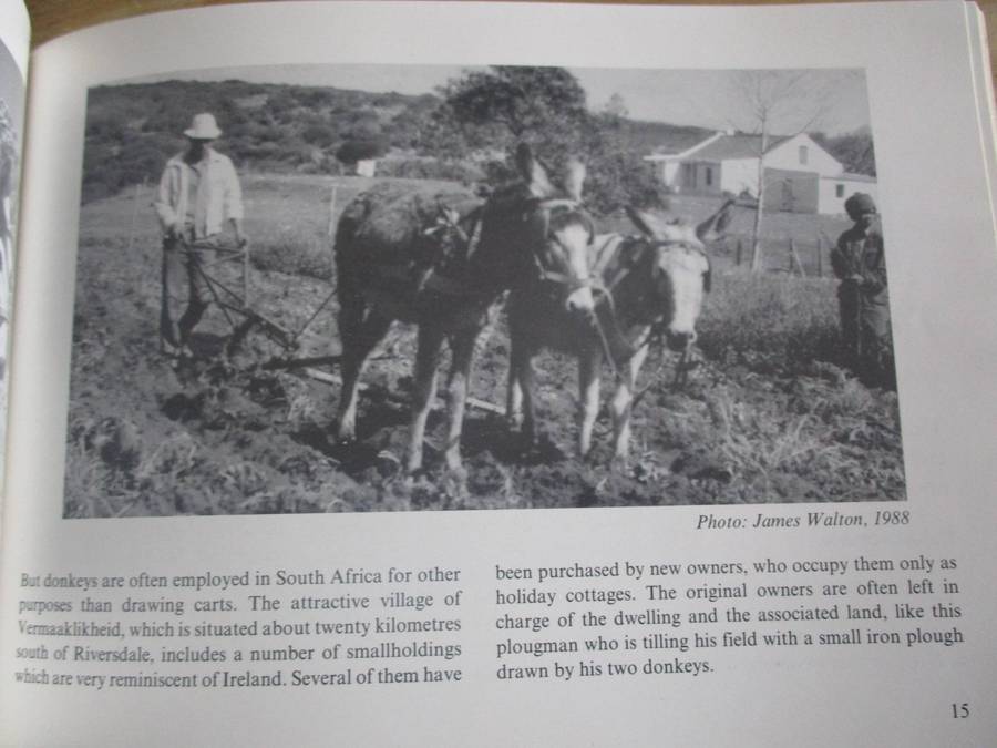 A Tribute to the Donkey - James Walton