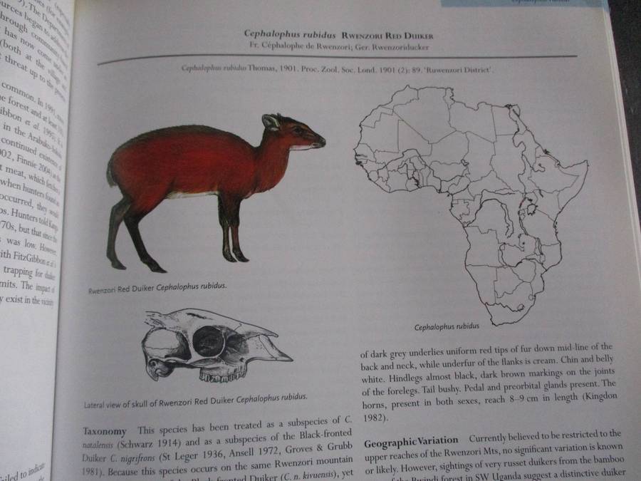 MAMMALS OF AFRICA Volume IV - Pigs, Hippopotamuses, Giraffes, Deer and Bovids