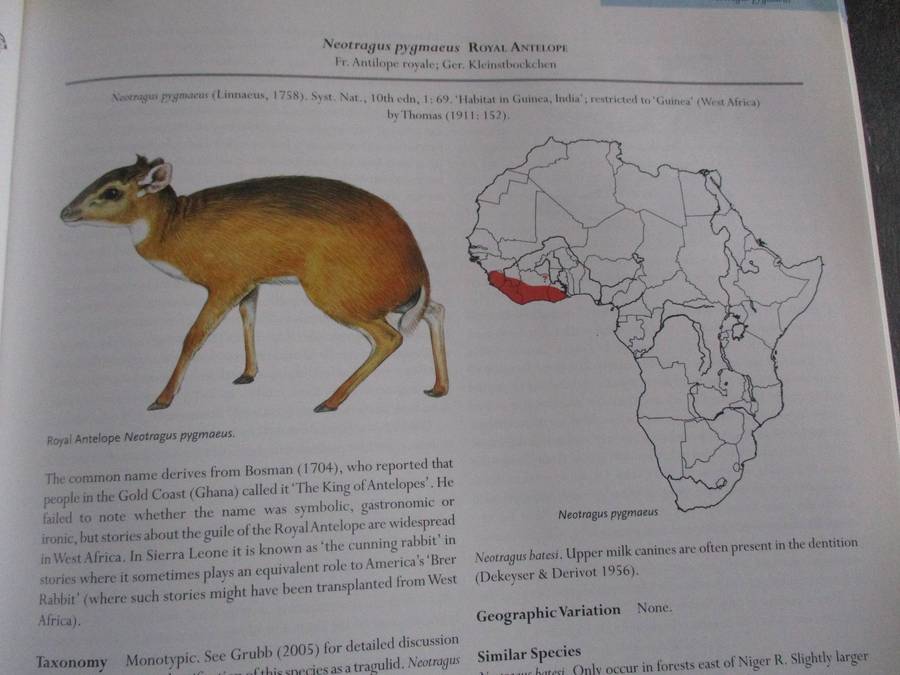 MAMMALS OF AFRICA Volume IV - Pigs, Hippopotamuses, Giraffes, Deer and Bovids