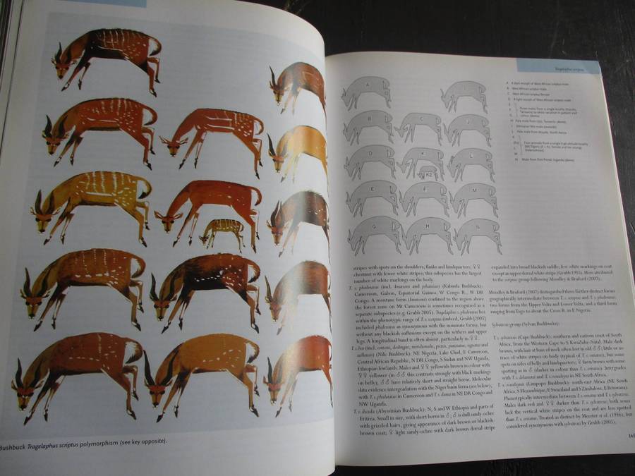 MAMMALS OF AFRICA Volume IV - Pigs, Hippopotamuses, Giraffes, Deer and Bovids