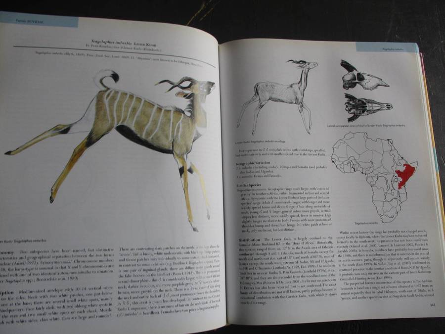MAMMALS OF AFRICA Volume IV - Pigs, Hippopotamuses, Giraffes, Deer and Bovids