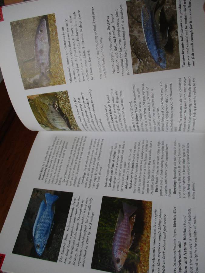 Lake Malawi Cichlids  Mark P. Smith