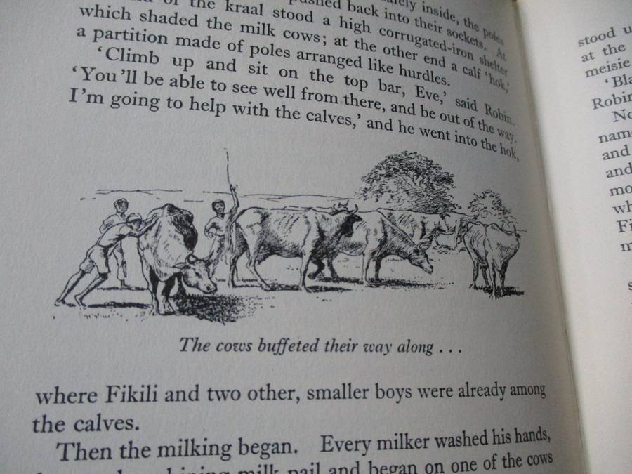 DRY RIVE FARM  W.M. Levick  A realistic day-to-day story of a South African Orange Farm