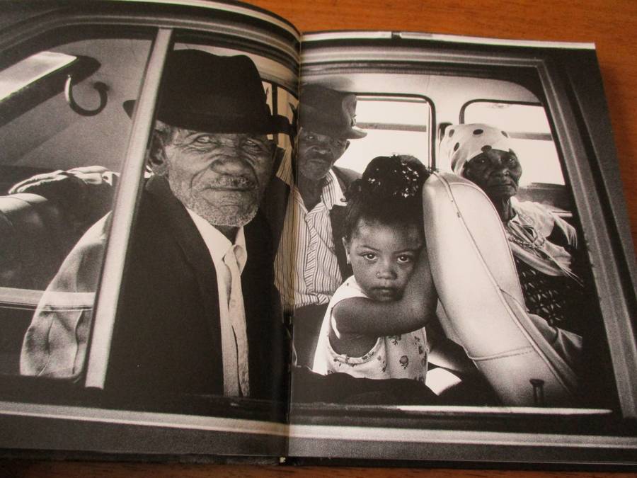 Between dogs and wolves Growing up in South Africa  Jodi Bieber