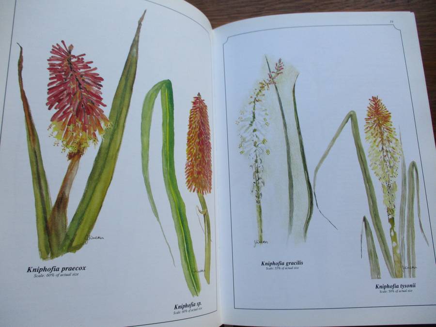 SIGNED. Wild Flowers of Kwa-Zulu Natal  Joan Walker