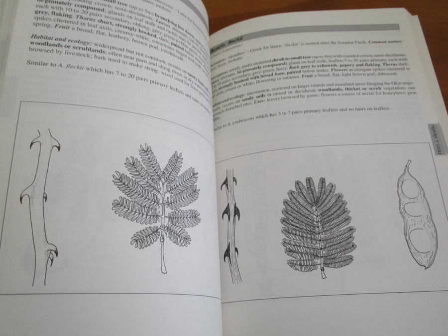 Plants of the Okavanga Delta  A Field Guide Karen and William Ellery