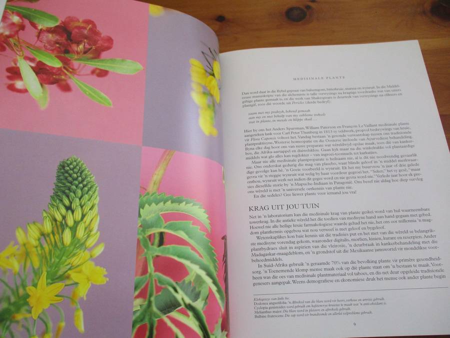 Immergroen  Stories oor plante  Dave Pepler Foto's deur Lien Botha