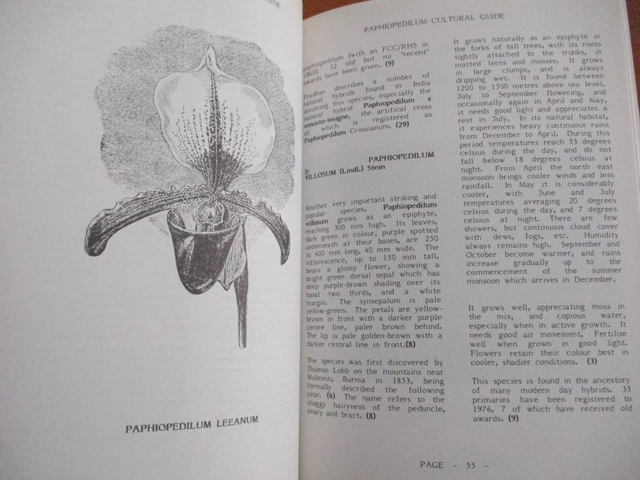 Wellongton Orchid Society  PAPHIOPEDILUMS