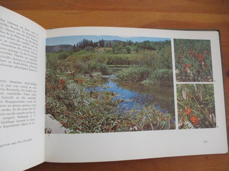 Plant Invaders beautiful, but dangerous CH Stirton