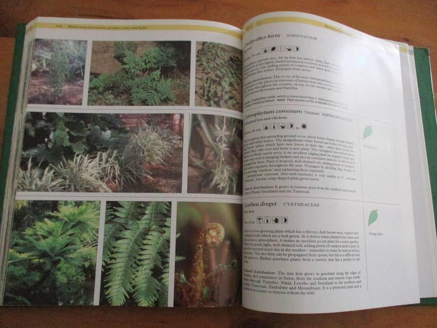 The Gardeners guide to South African Plants  Pita Joffe