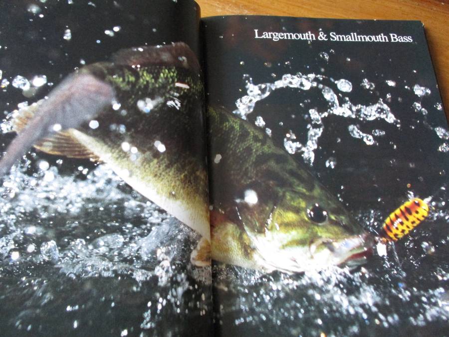 Secrets of the Fishing Pros  Dick Sternberg and Parker Bauer